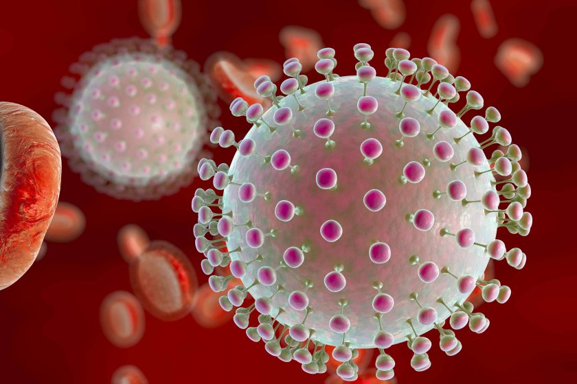Биолози са открили антитяло, което напълно неутрализира вируса на треската