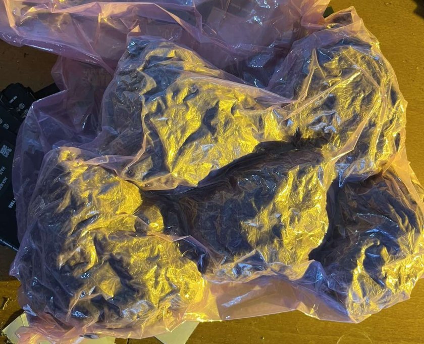 Разкриха наркооранжерия за марихуана в Бургас (СНИМКИ)