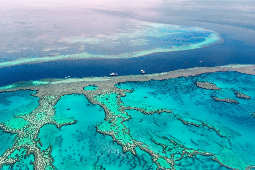 Министърката на екологията на Австралия съобщи, че правителството на страната