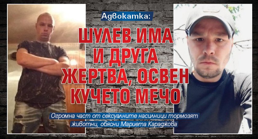 Адвокатка: Шулев има и друга жертва, освен кучето Мечо 