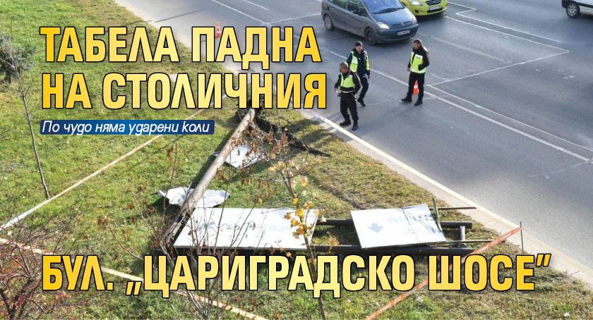 Табела падна на столичния бул. "Цариградско шосе" (СНИМКИ)