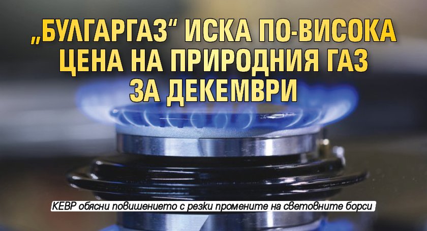 „Булгаргаз“ иска по-висока цена на природния газ за декември