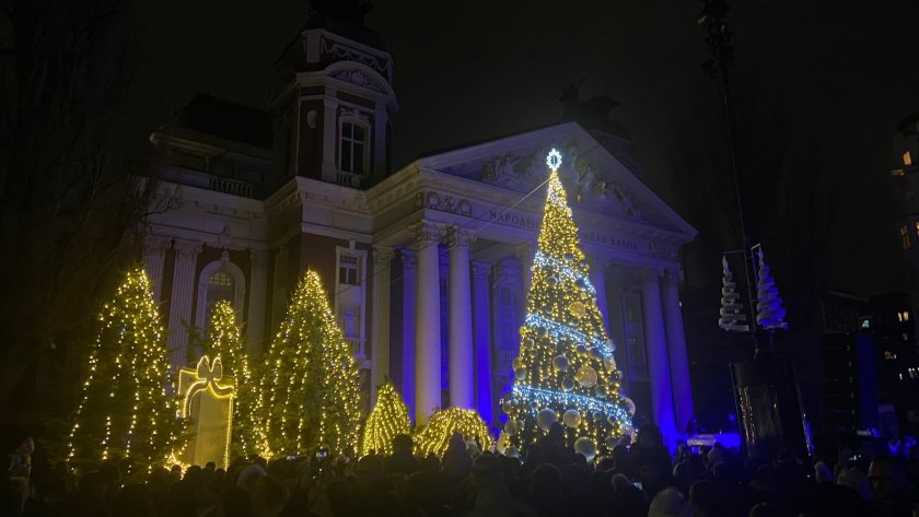 Коледната елха грейна в центъра на София точно 24 дни