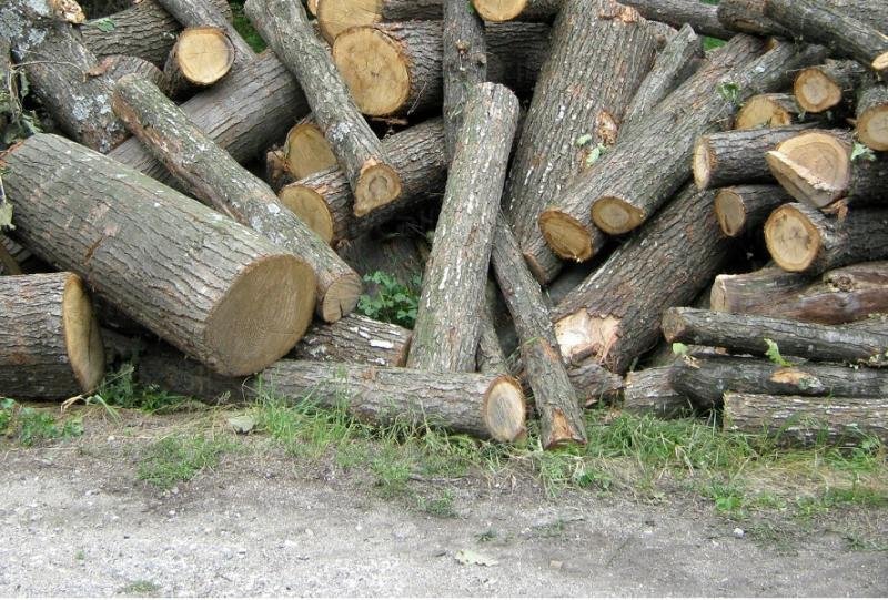 До няколко дни ще бъде решен проблемът с дървата. Това