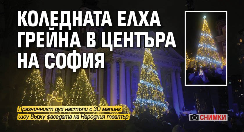 Коледната елха грейна в центъра на София (СНИМКИ)