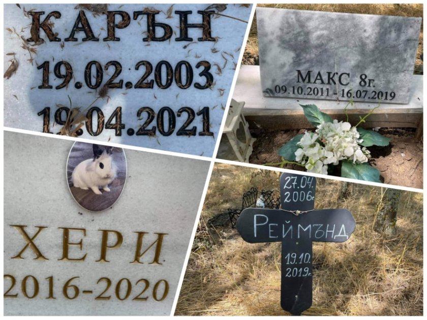 В Бургас търсят терен за гробище за домашни любимци
