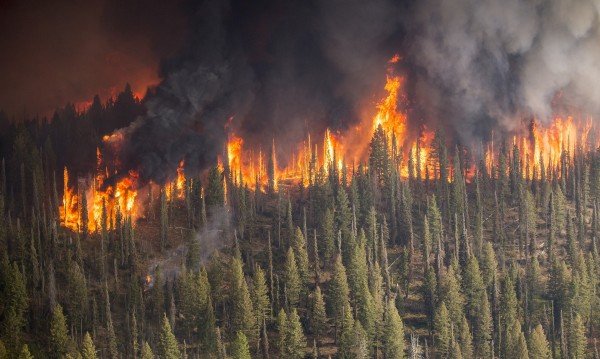 Риск от пожари за 21 области