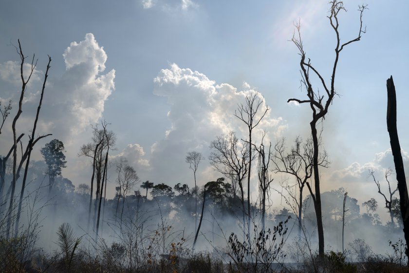 Бразилска делегация в САЩ заради амазонските пожари