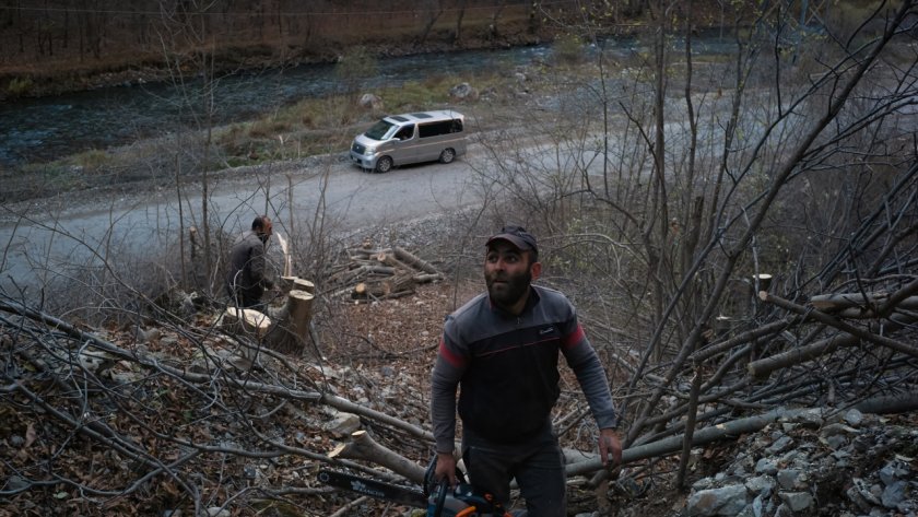 Незаконен дървар сгащиха край Нова Загора