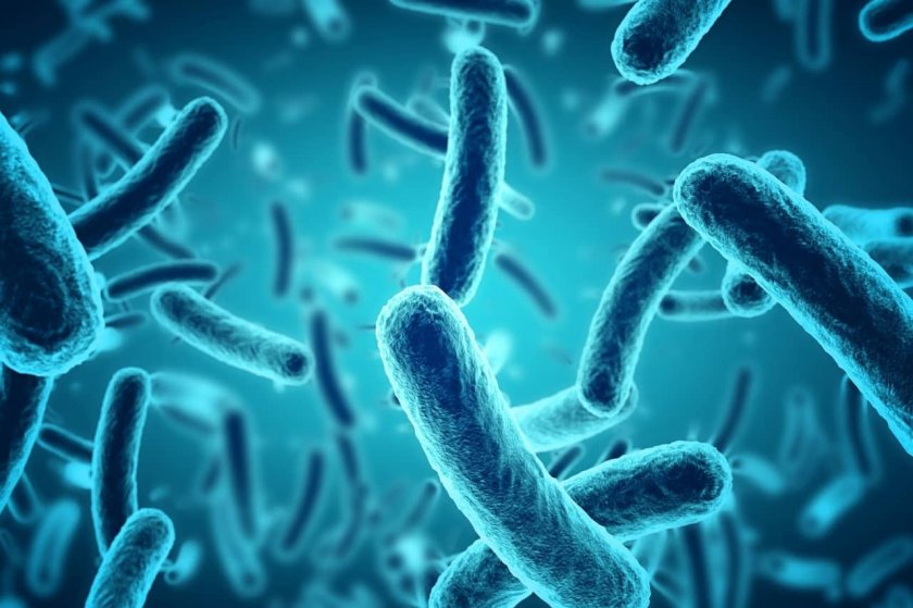 СЗО: Антибиотиците са безсилни срещу бактерии-убийци