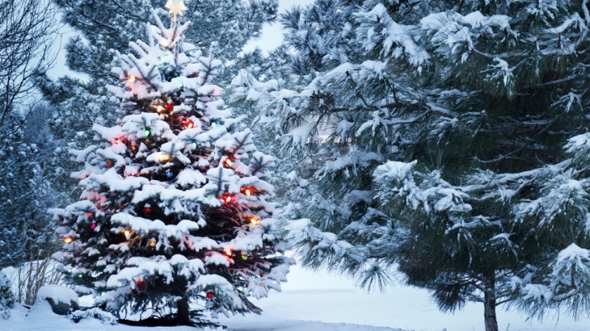 Прогнозата: Коледа идва със сняг