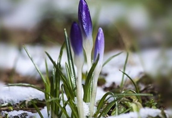 От днес до края на декември, вместо да става по-студено,