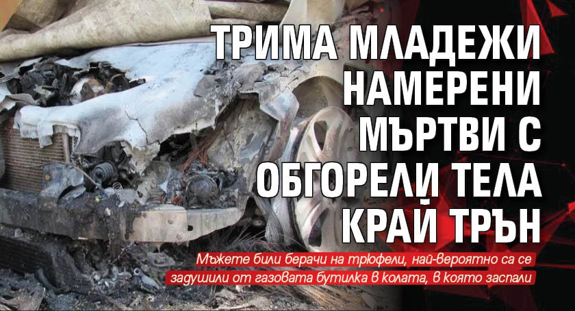 Трима младежи намерени мъртви с обгорели тела край Трън
