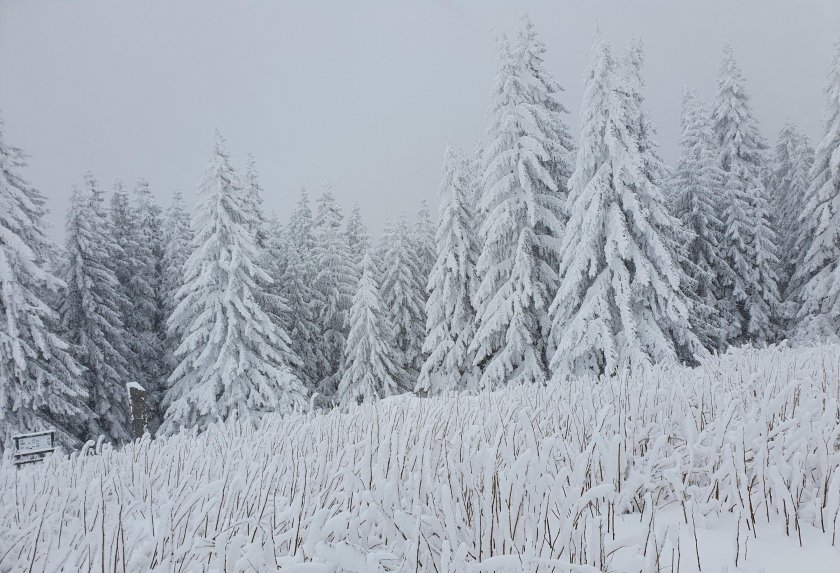 Едва след 12-13-и януари се очаква зимата наистина да настъпи