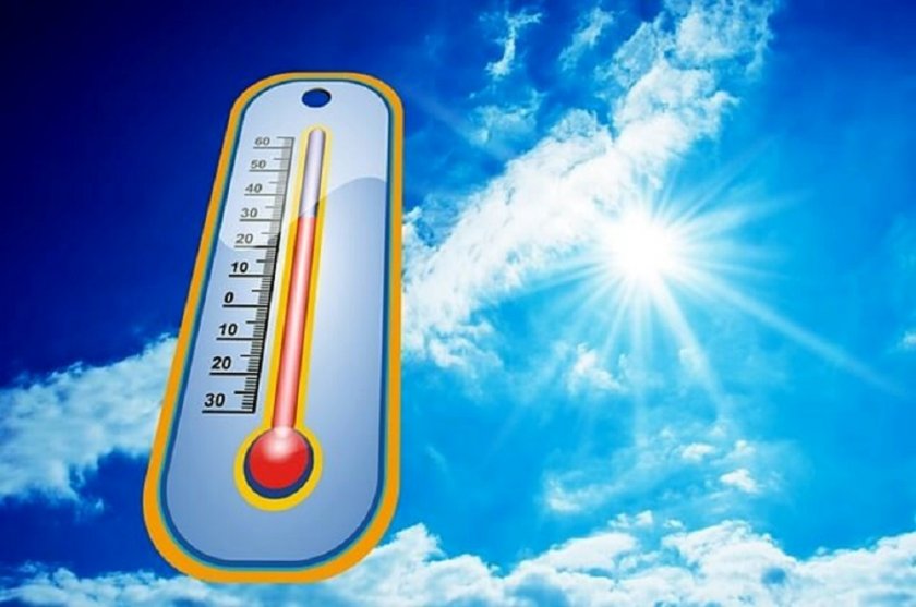 Рекордни януарски температури отчетоха днес в метеорологични станции в страната,