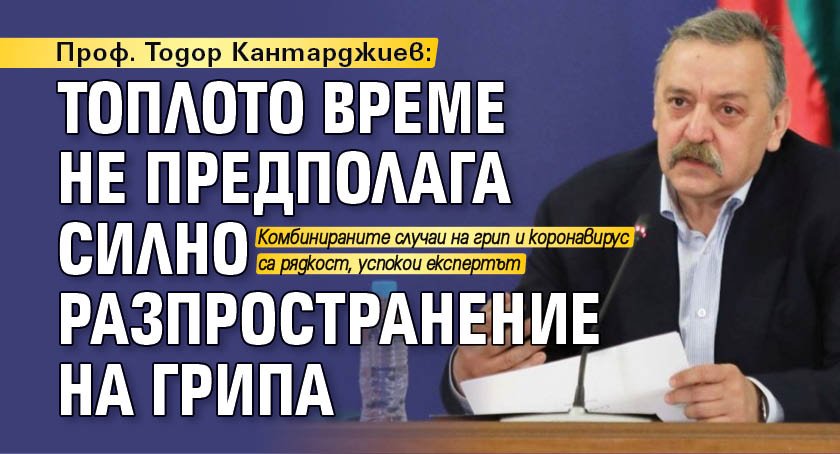 Проф. Тодор Кантарджиев: Топлото време не предполага силно разпространение на грипа