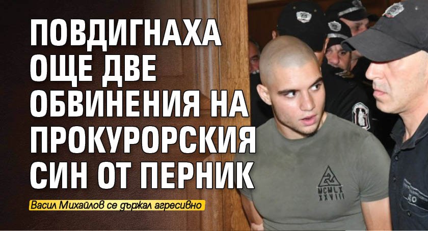 Софийска районна прокуратура (СГП) привлече към наказателна отговорност 19-годишния Васил