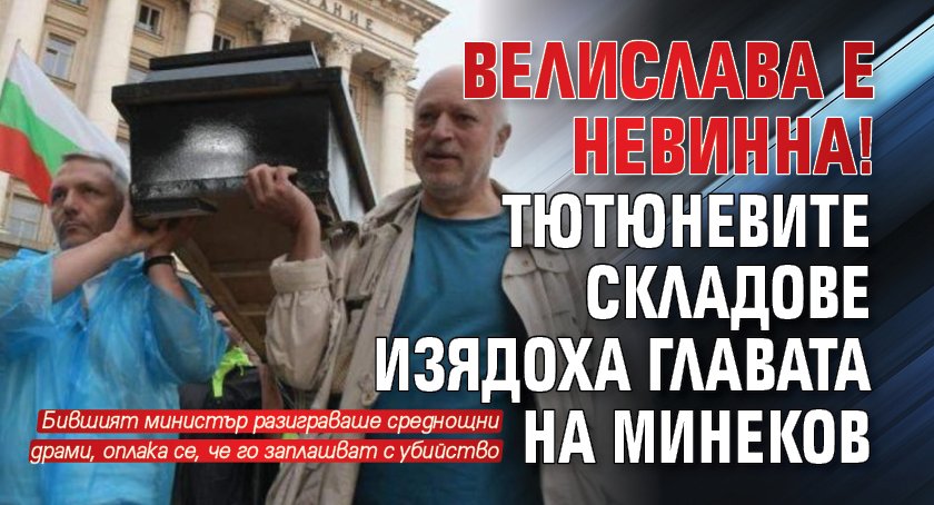Велислава е невинна! Тютюневите складове изядоха главата на Минеков