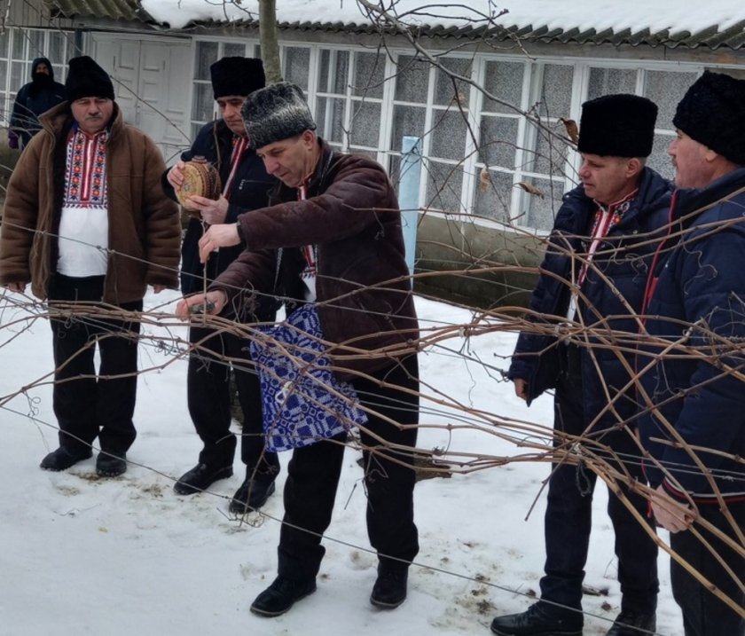 Празник: Българите в Чийший зарязаха лозето
