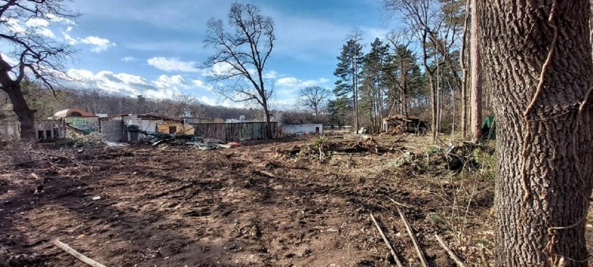 „Абсолютно незаконно“: СРП подхваща сечта в Борисовата градина