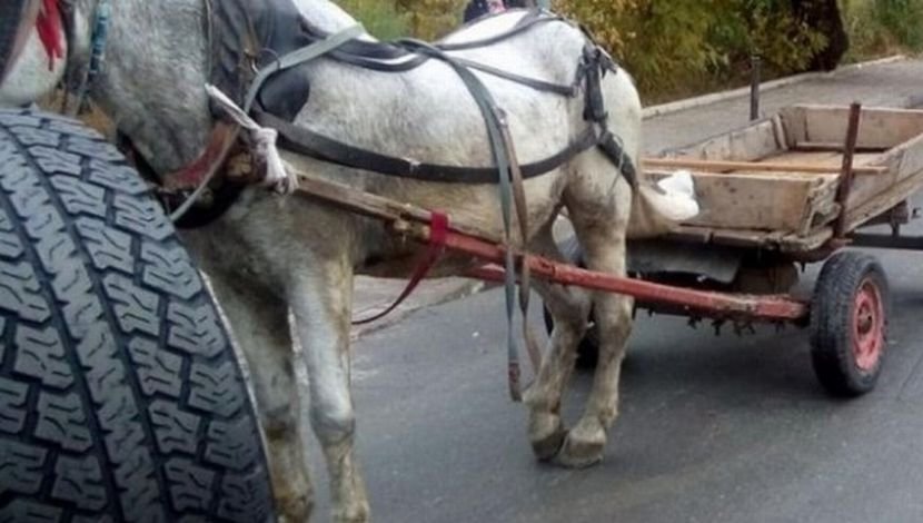 Хванаха крадци с каруца