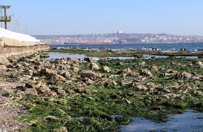 След земетресението в Турция: Мраморно море се отдръпна с 15 метра
