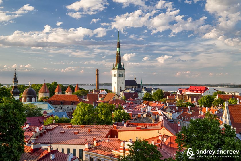 Държавното събрание (парламентът) на Естония отправи призив за по-решително подпомагане