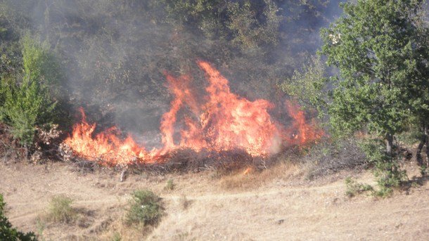 Пожар, пламнал близо до София, беше загасен преди минути.Огънят тръгнал