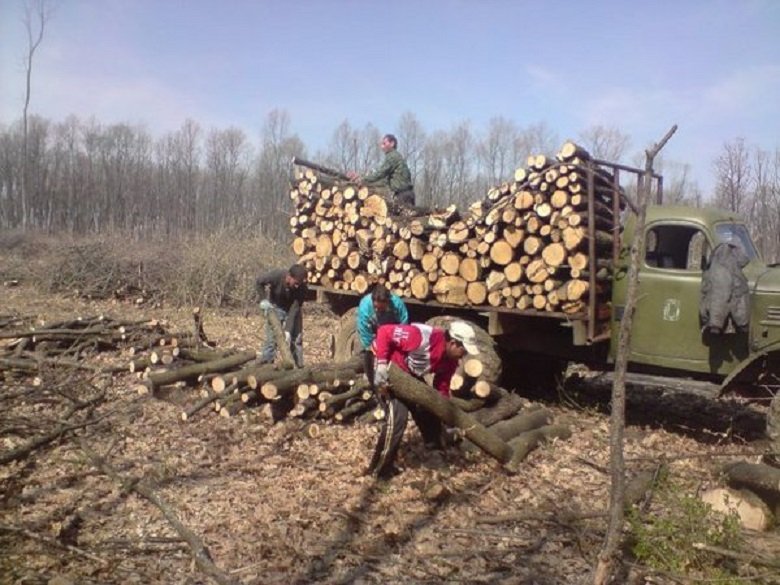 Криминални дървари сгащиха в Глоговица