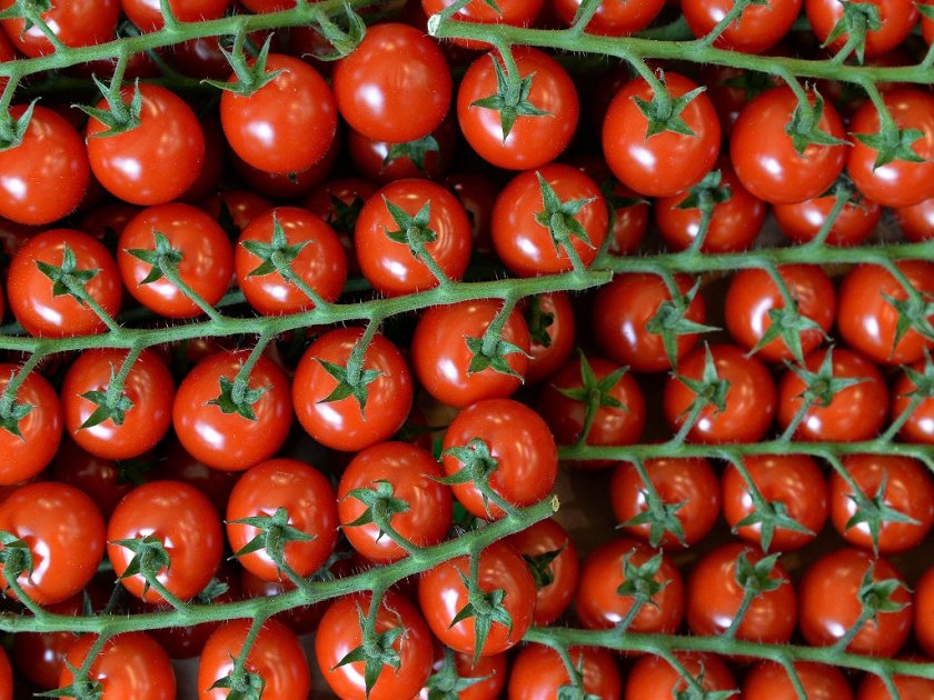 Турция отменя забраната за износ на домати