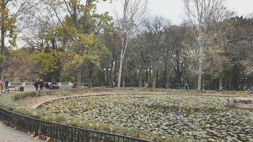 Отпускат още 160 бона за камери в Борисовата градина 