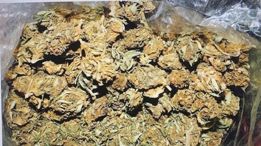 Столични полицаи от Първо РУП хванаха голямо количество марихуана. В