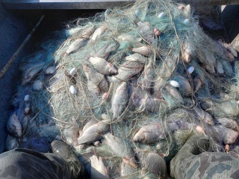 Откриха бракониерски мрежи във водоеми край Варна