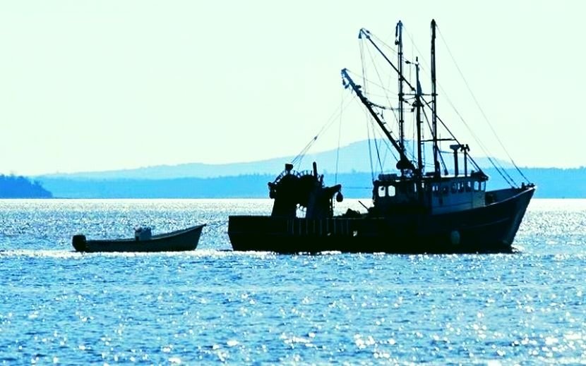 3 български риболовни кораба са задържани в Румъния, единият е от Бургас