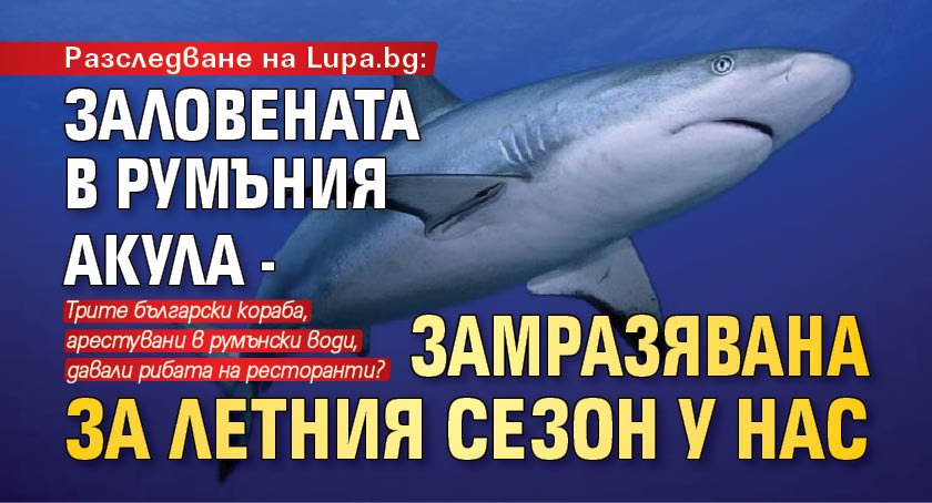 Разследване на Lupa.bg: Заловената в Румъния акула - замразявана за летния сезон у нас