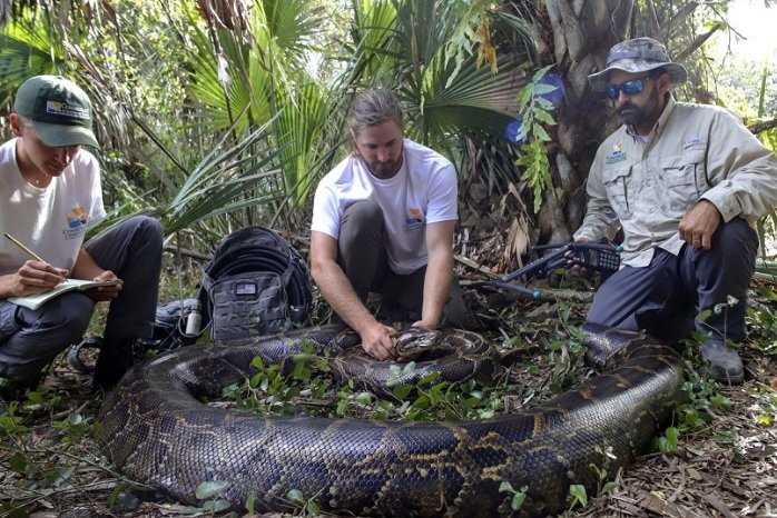 Властите в америкаския щат Флорида признават, че не могат да