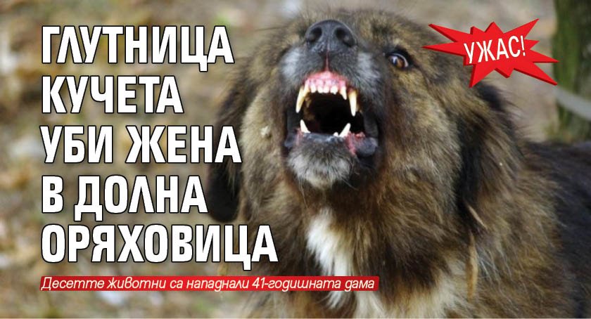 УЖАС! Глутница кучета уби жена в Долна Оряховица