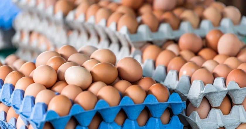 Над 300 хиляди български яйца без маркировка са конфискувани в Гърция