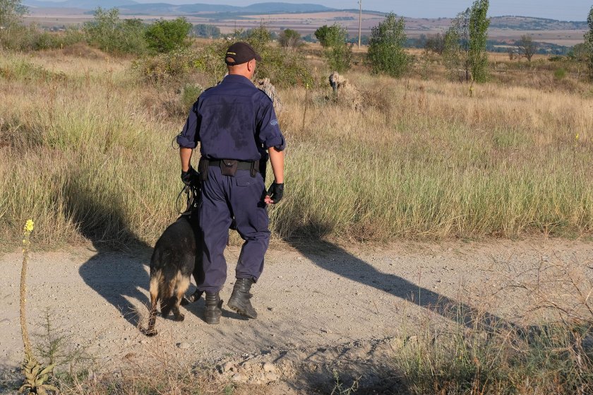 69-годишен животновъд е открит мъртъв в дере край благоевградското село