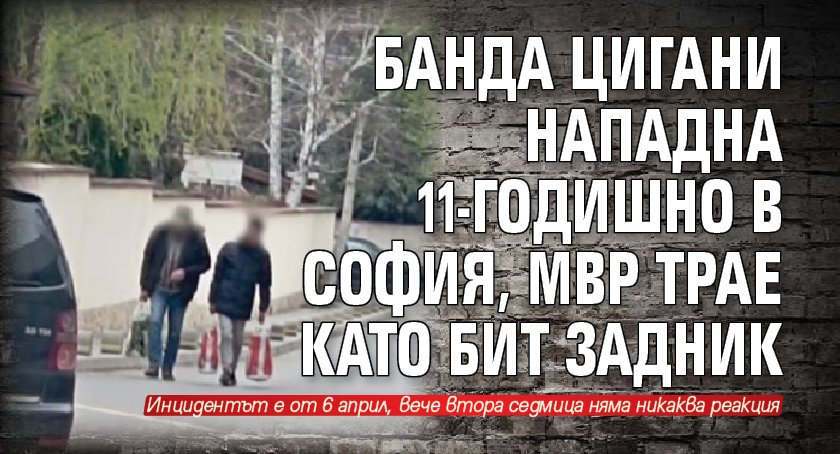 Банда цигани нападна 11-годишно в София, МВР трае като бит задник