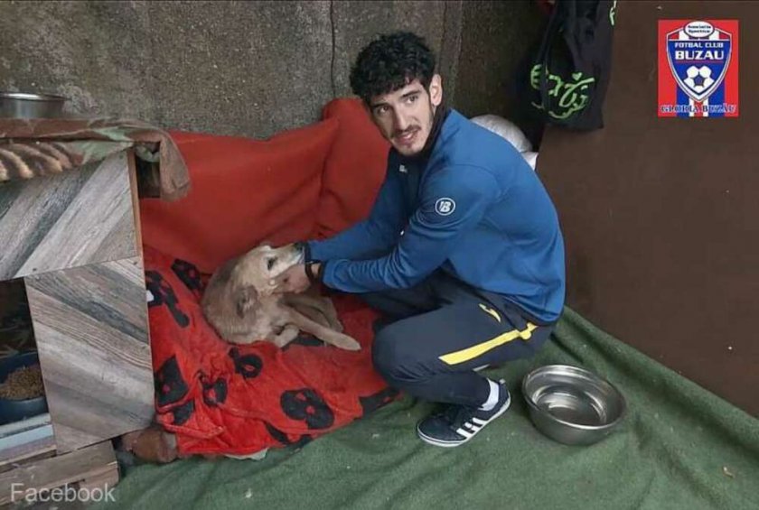 Футболист кани феновете си да се грижат за бездомни кучета