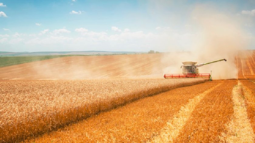 Вносът на пшеница от Украйна е пренебрежително малък – 0,3%