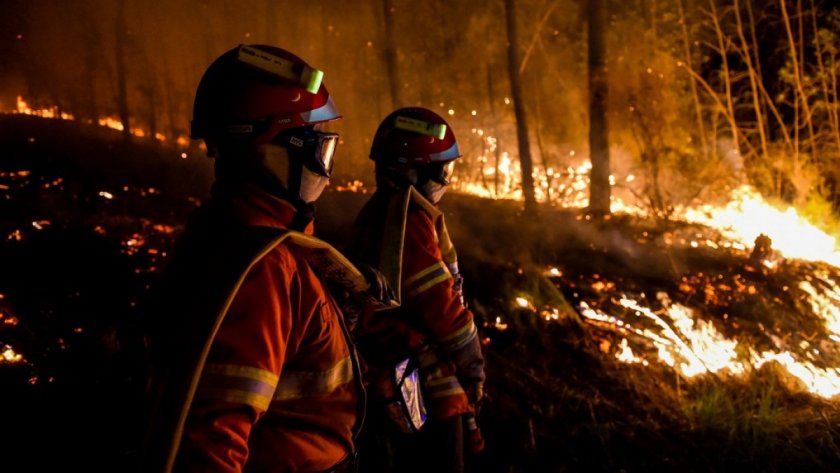 Франция мобилизира силите за борба с горските пожари