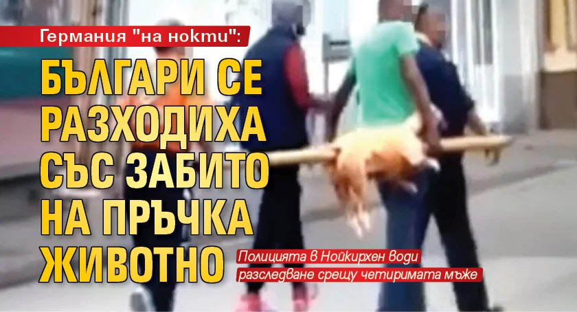 Германия "на нокти": Българи се разходиха със забито на пръчка животно