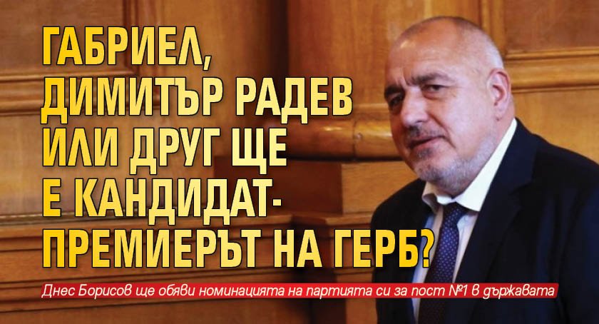 Габриел, Димитър Радев или друг ще е кандидат-премиерът на ГЕРБ?