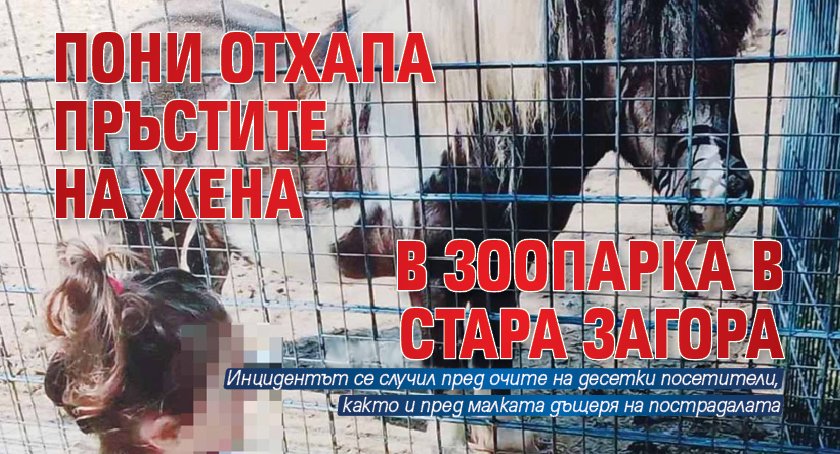 Пони отхапа пръстите на жена в зоопарка в Стара Загора