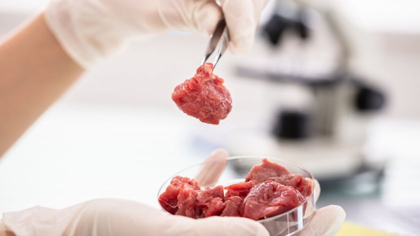Лабораторната мръвка не е по-добра за околната среда от говеждото