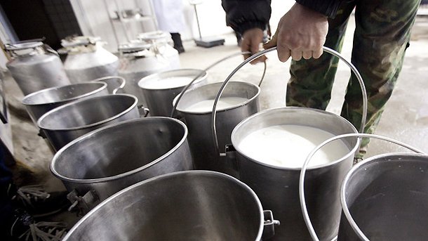 Днес пловдивските фермери подаряват млякото си на всеки, отишъл при