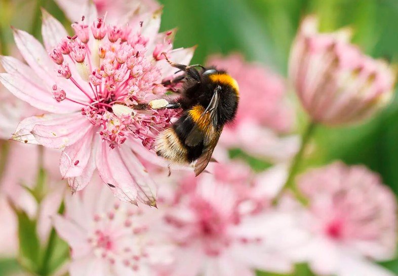 Ако през пролетта не сте имали време и възможност да