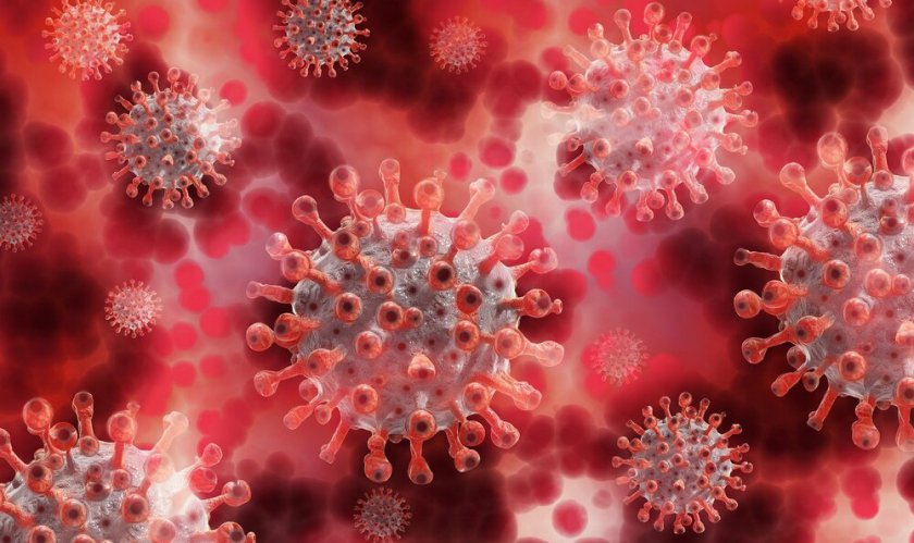 Учени установиха как новият коронавирус поразява мозъчните клетки